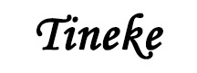 لوگوی تینک - Tineke 