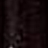 SG06
