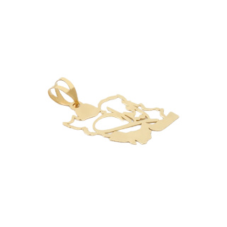 آویز گردنبند طلا 18 عیار زنانه طرح MM2270 نقشه ی ایران - 01