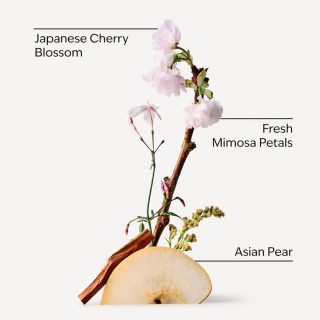 کره بدن مدل Japanese Cherry Blossom با رایحه شکوفه گیلاس ژاپنی وزن 185 گرم بث اند بادی ورکس - 01
