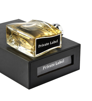 ادوپرفیوم مردانه روپیکو مدل Private Label حجم 100میلی لیتر - 01