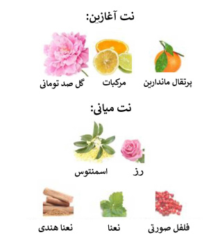 ادوپرفیوم زنانه گوچی مدل Flora حجم 75 میلی لیتر - 05