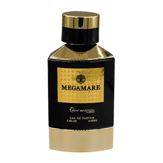 ادوپرفیوم مردانه رودیر مدل Megamare حجم 100 میلی لیتر