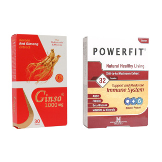 پک دو عددی قرص مدل جینسو 1000 میلی گرم و کپسول مکمل گیاهی مدل Powerfit هولیستیکا
