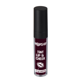 تینت لب مایع بادوام ورشیپ مدل Long Lasting حجم 6 میلی لیتر