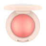 رژگونه شاین مدل Soft Glam کاتریس