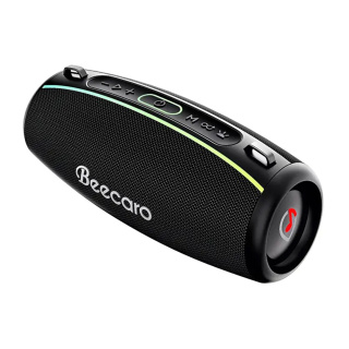 اسپیکر بلوتوثی کاکوسیگا مدل Beebox66 - 03