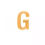 آویز طلا تک حرف G