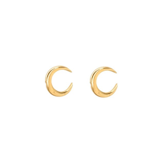 گوشواره طلا 18 عیار ماه H ایلونا گالری
