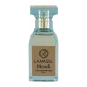 ادوپرفیوم مردانه Bleu De Chanel مدل Mandi حجم 55 میلی لیتر لاماسو