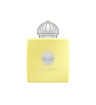عطر Love Mimosa حجم 100 میل آمواژ