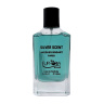 ادوپرفیوم مردانه مدل Silver Scent حجم 100 میلی لیتر ایفوریا