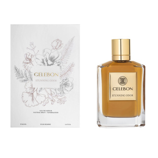 ادوپرفیوم مردانه مدل Stunning Odor حجم 100 میلی لیتر سلبون - 01