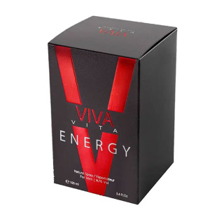 ادو پرفیوم مردانه مدل Energy حجم 100 میلی لیتر ویوا ویتا - 01