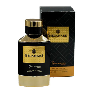 ادوپرفیوم مردانه رودیر مدل Megamare حجم 100 میلی لیتر - 01