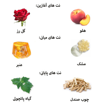 عطر ادکلن فور هر نارسیسو رودریگز حجم 100 میلی لیتر نارسیسو رودریگز - 04