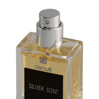 ادوپرفیوم مردانه مدل Silver Scent حجم 20 میلی لیتر دنوییت گلد - 01