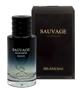عطر مردانه Sauvage حجم 33 میل برندینی - 01