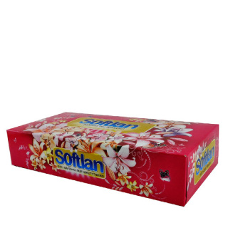 دستمال کاغذی 100 برگ دو لایه سری باغ بهشت سافتلن - 02