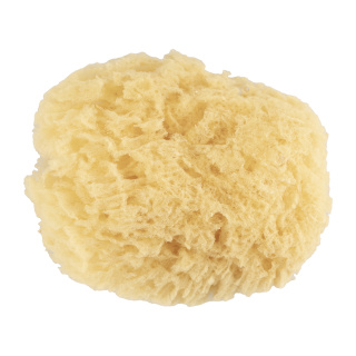 لیف اسفنجی دریایی مدل Natural سوآوی پیل - 02