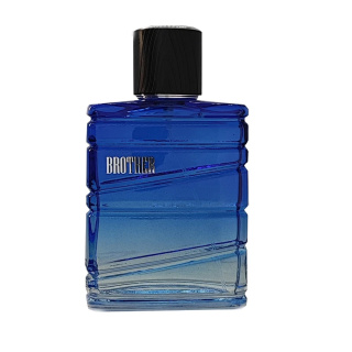 ادوپرفیوم مردانه مدل Brother Bleu De Chanel حجم 100 میلی لیتر نایس پاپت