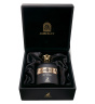 ادوپرفیوم مردانه مدل Amberley Pur Oud حجم 100میل