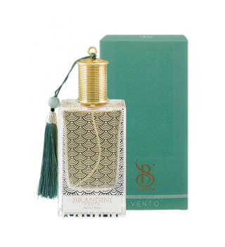 عطر مردانه برندینی مدل Vento حجم 90 میلی لیتر