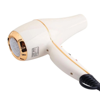 سشوار حرفه ای مک استایلر مدل MC6689 - 01