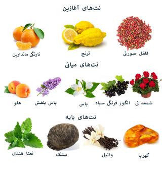 ادو تویلت زنانه گوچی مدل گیلتی حجم 100 میلی لیتر - 03