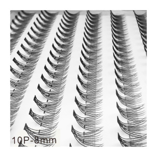 مژه مصنوعی مدل 10P 8mm متفرقه - 01