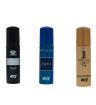 عطر جیبی مردانه بسته 3 عددی نایس پاپت