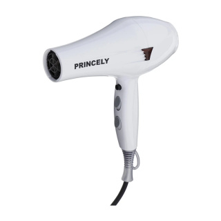 سشوار پرنسلی مدل PR249AT - 01