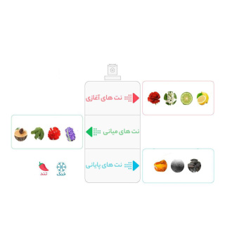ادوتویلت مردانه پورهوم ورساچه - 04