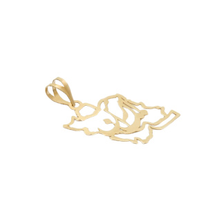 آویز گردنبند طلا 18 عیار زنانه طرح MM2272 نقشه ی ایران - 01