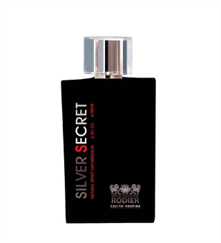 ادو پرفیوم مردانه مدل Silver Secret حجم 100 میل رودیر
