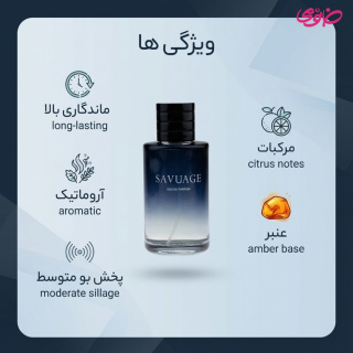 ادو پرفیوم مردانه مدل ساواج دیور حجم 100 میلی لیتر هات لاو - 07