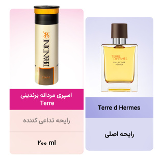 اسپری مردانه مدل Terre حجم 200 میلی لیتر برندینی - 01
