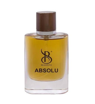 عطر مردانه ابسلو حجم 25میل برندینی