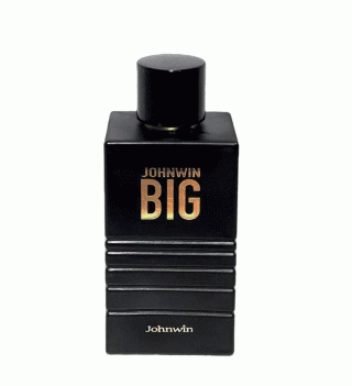 ادو پرفیوم مردانه جانوین مدل Big حجم 100 میلی لیتر