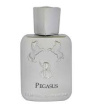 عطر مردانه Pegasus حجم 33میل برندینی