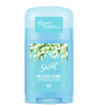 استیک ضد تعریق زنانه مدل  Delicate Scent حجم 40 میل
