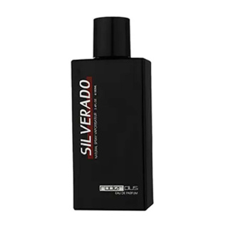 ادوپرفیوم مردانه مدل Silverado حجم 100 میلی لیتر رودیر پلاس