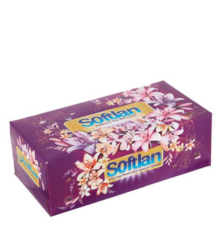 دستمال کاغذی 300 برگ سری باغ بهشت سافتلن - 02