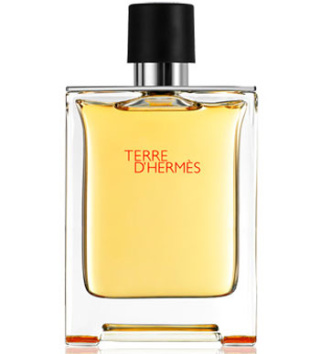 ادو تویلت مردانه مدلTerre D Hermes حجم 100 میل هرمس