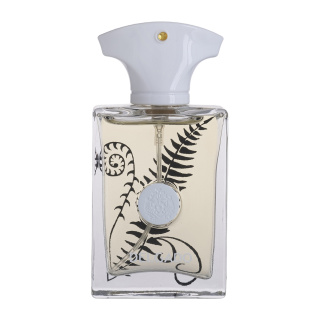 عطر جیبی مردانه مدل Amouage Bracken حجم 25 میلی لیتر دلگادو