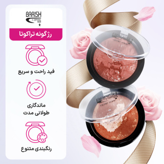رژ گونه تراکوتا باریش وزن 10 گرم - 04