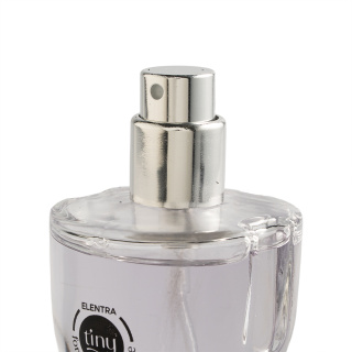 عطر جیبی مردانه مدل Invictus حجم 35 میلی لیتر النترا تاینی - 01