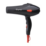 سشوار حرفه ای مدل RL-8808 پرومارون