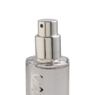 عطر جیبی مردانه مدل Legend Sprit حجم 33 میلی لیتر صندل - 01