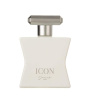ادوپرفیوم مردانه Icon حجم 100میل